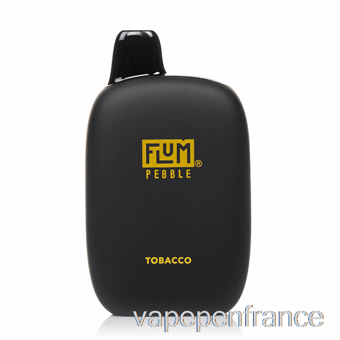 Stylo Jetable De Vape De Tabac De Flum Pebble 6000